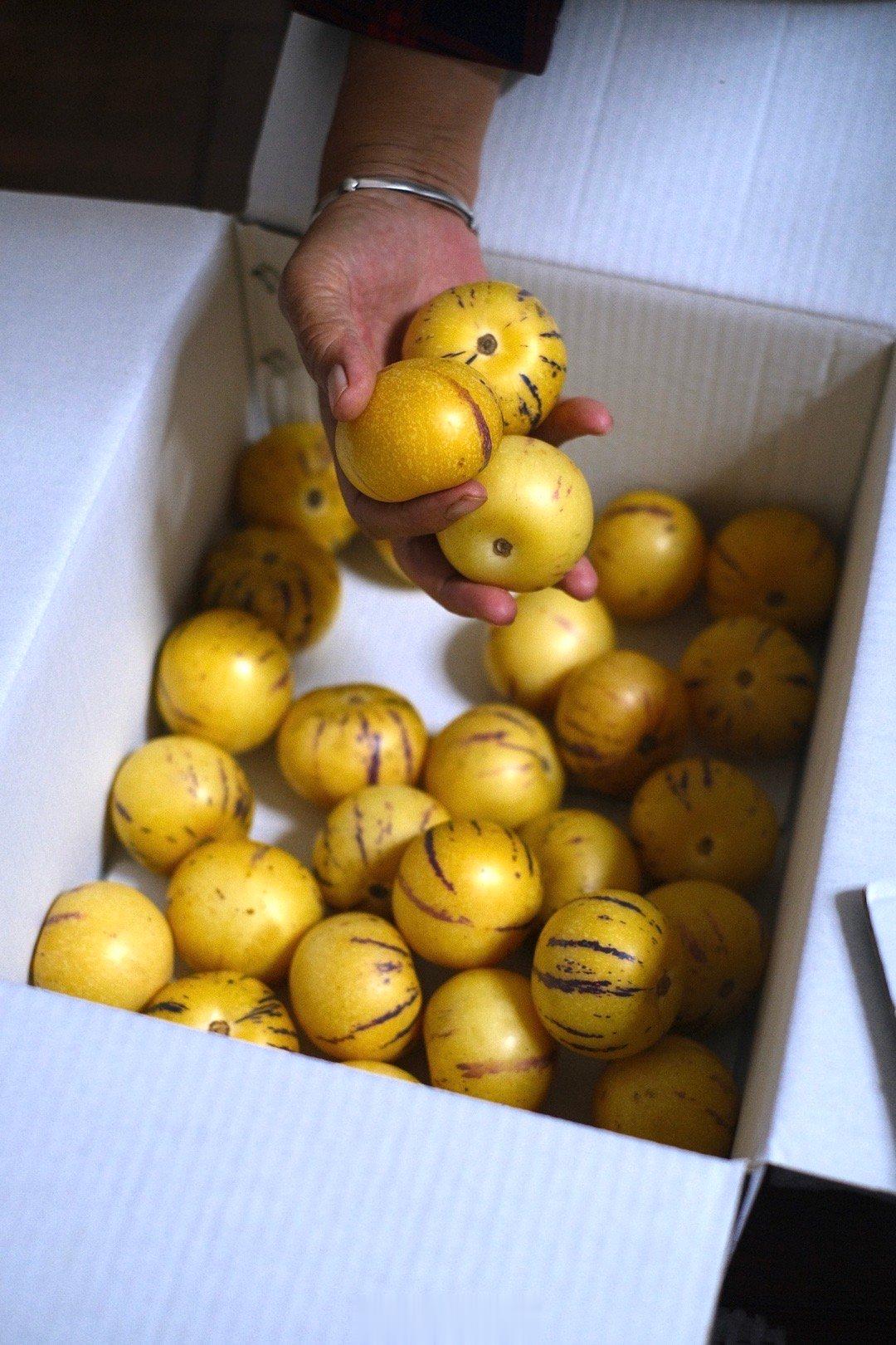 今天收到人参果的小伙伴马上又买了一箱我在超市看，精品果700克就30多这一箱小果