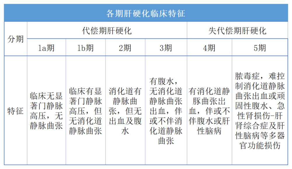 肝硬化分5期，看你是哪一期？越往后越严重。门诊上经常有病人只知道自己是，不知道自己的肝硬化到了哪个阶段，肝硬化分代偿期和失代偿期，代偿期一般肝功能正常，一般没有很明显的不适，无明显并发症；如果到了严重的失代偿期，就会有很明显的表现，如下肢浮肿、黄疸等，失代偿期细分的话又可以分为5期： 
1期：无静脉曲张和腹水
2期：出现食管静脉曲张 (以上为代偿期)
3期：有腹水但没有出血
4期：食管胃底静脉曲张
5期：脓毒血症及肝肾综合症 (以上为失代偿期) 
坦白的给大家说，肝硬化有并发症了就算是失代偿期了