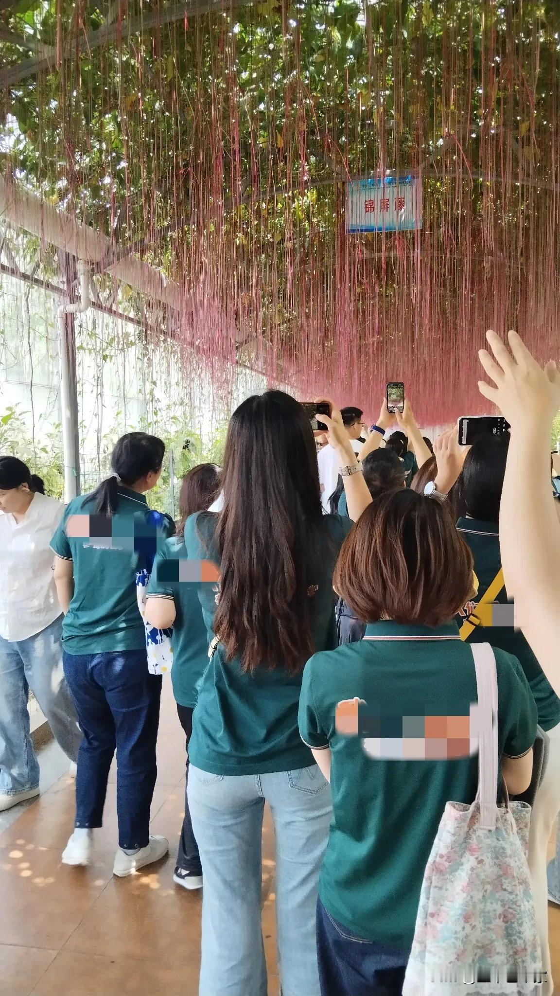 1，主要是车标接受不了，捷达品牌还没有获得人们的认可！
2，仍旧是被人诟病的双离