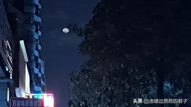 看到“月明月暗月有情”这个下联，一下子就来了兴致。对联讲究对仗工整、平仄协调。我