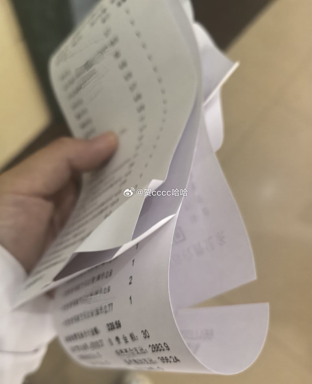 一只小cc就这么长大。 