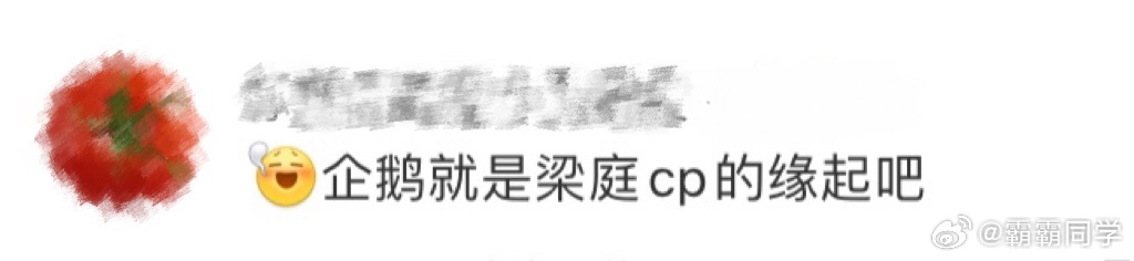 企鹅就是梁庭cp的缘起吧半熟4小屋离别倒计时 半熟4小屋离别钟声渐近，回溯往昔，