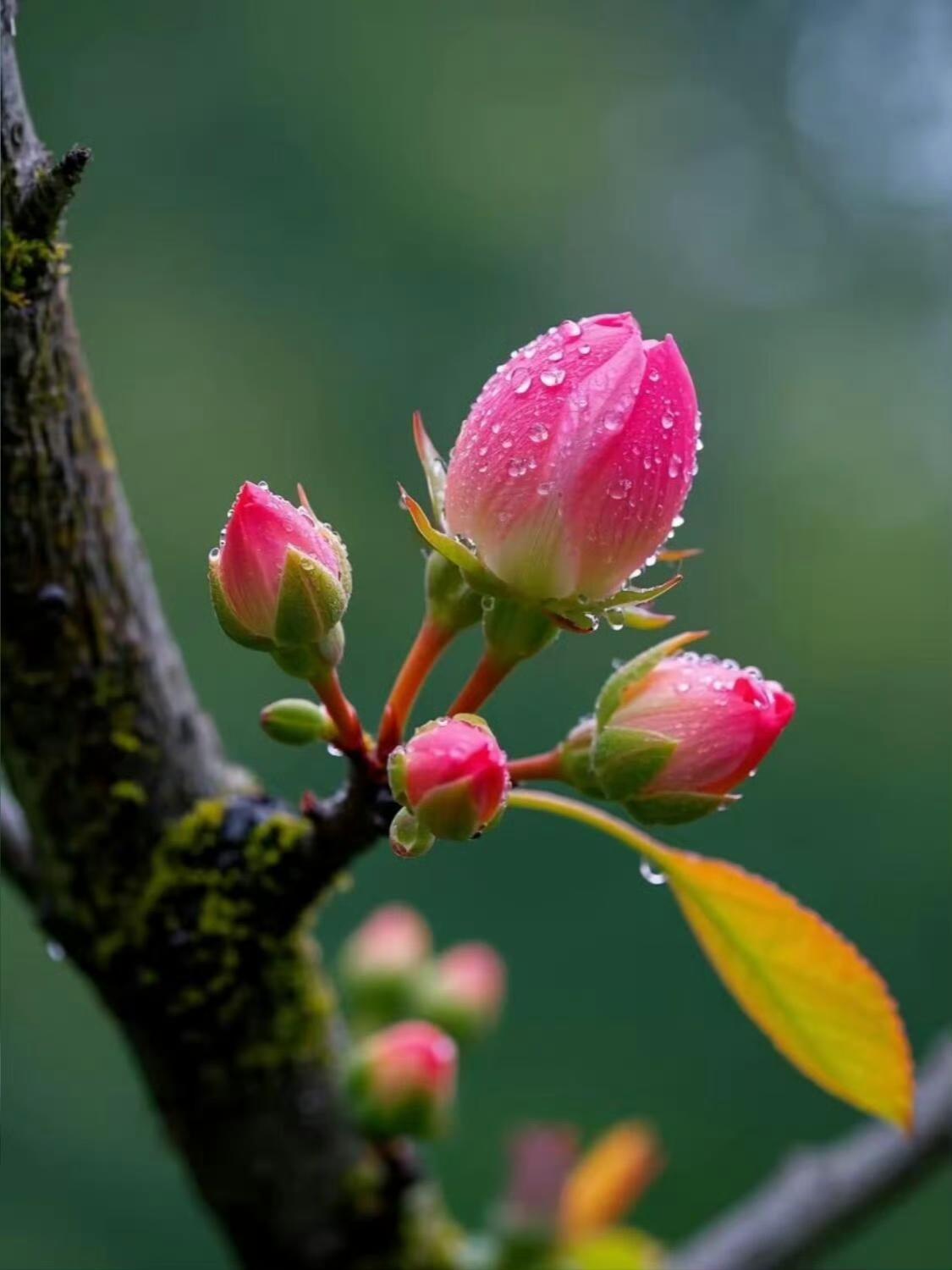 在春天里
遛遛自己
