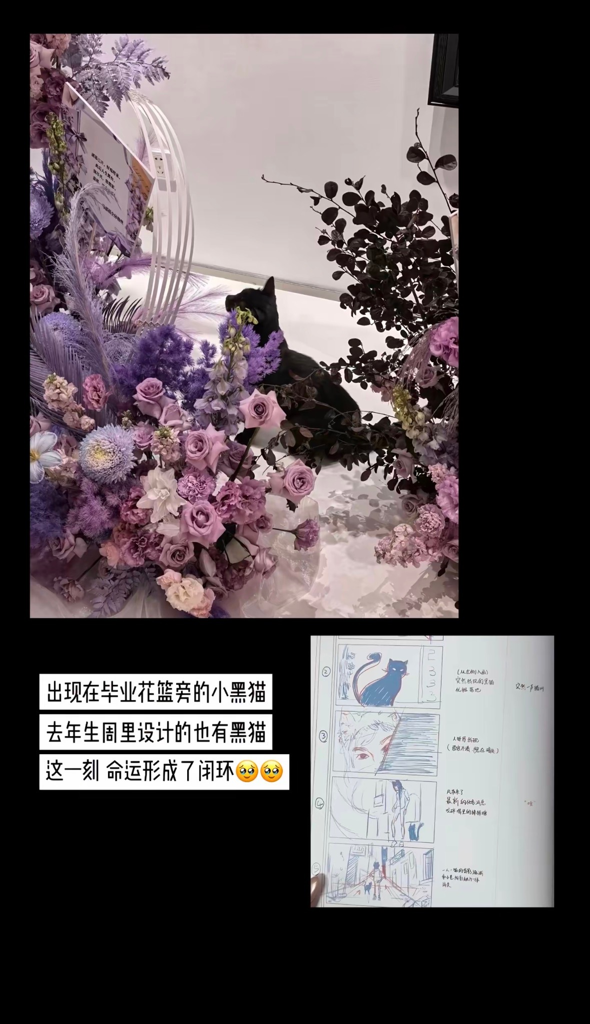 我哭🥺 