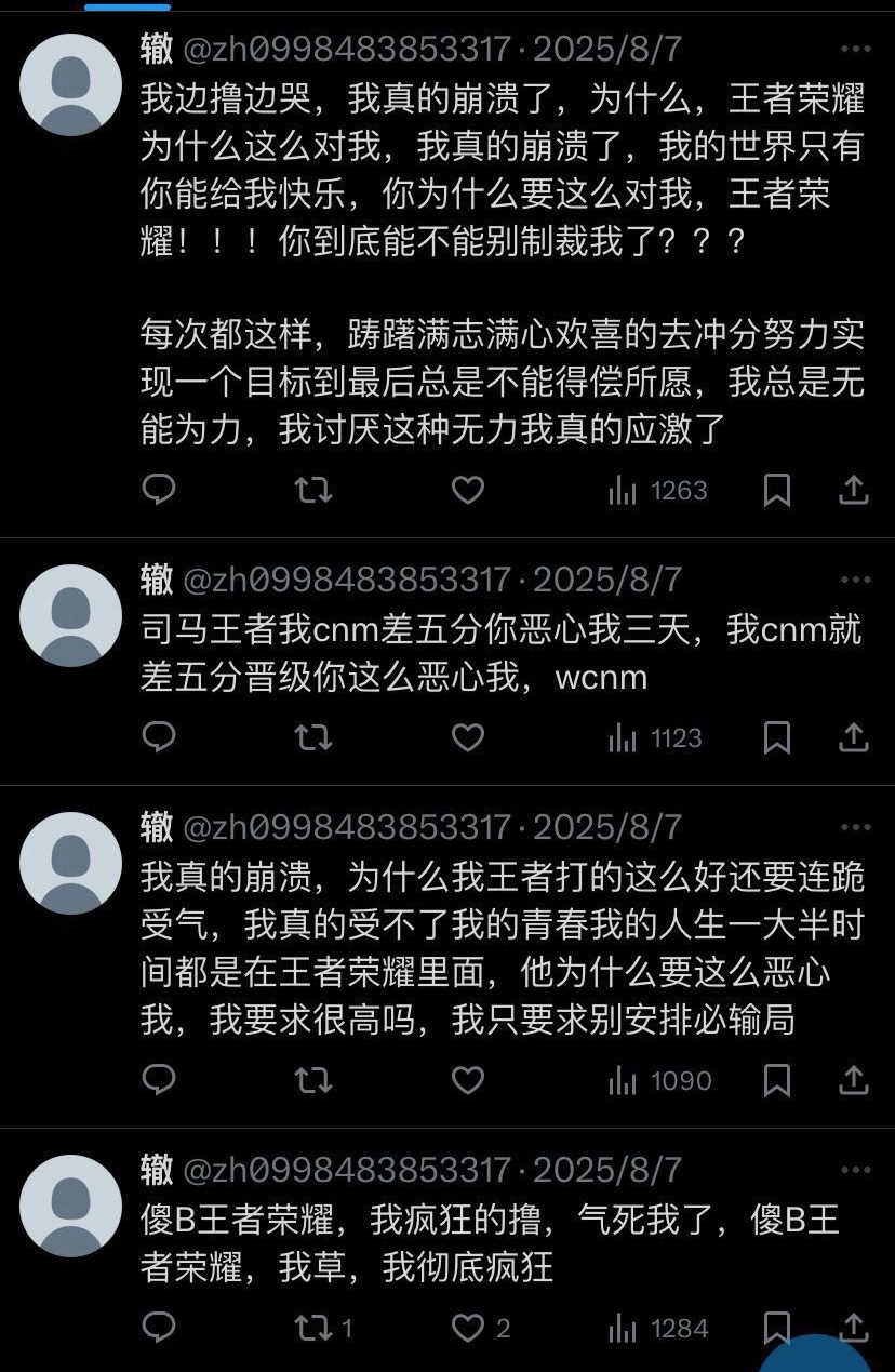 担担概念 