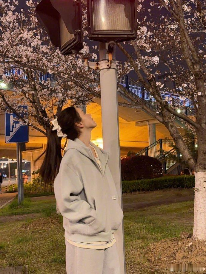 陈都灵拍了夜樱陈都灵夜樱随拍 夜樱好看，嘟嘟更好看～ 