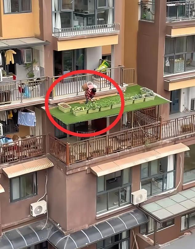 “心真大！”3月12日，重庆，一女子在自家阳台望风时，看到对面楼的一位阿婆在3楼