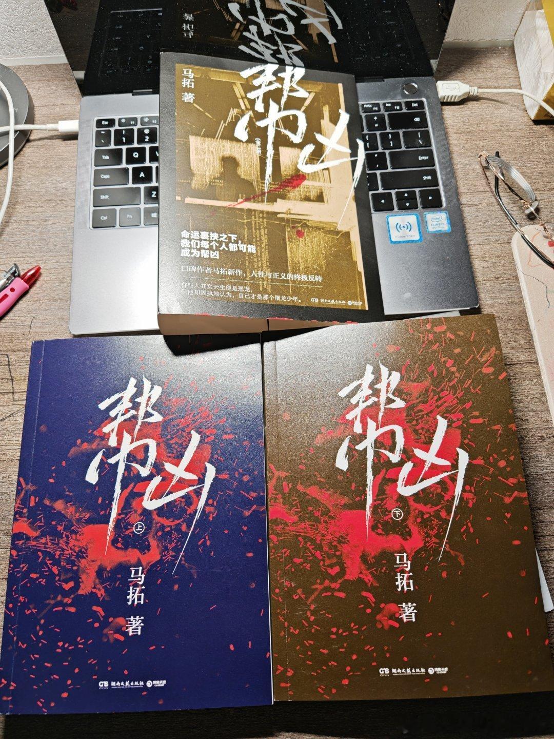 NO.9/实体书/《帮凶​》 诶这小说好玩，感觉分成上下册是有设计的，有点控辩双