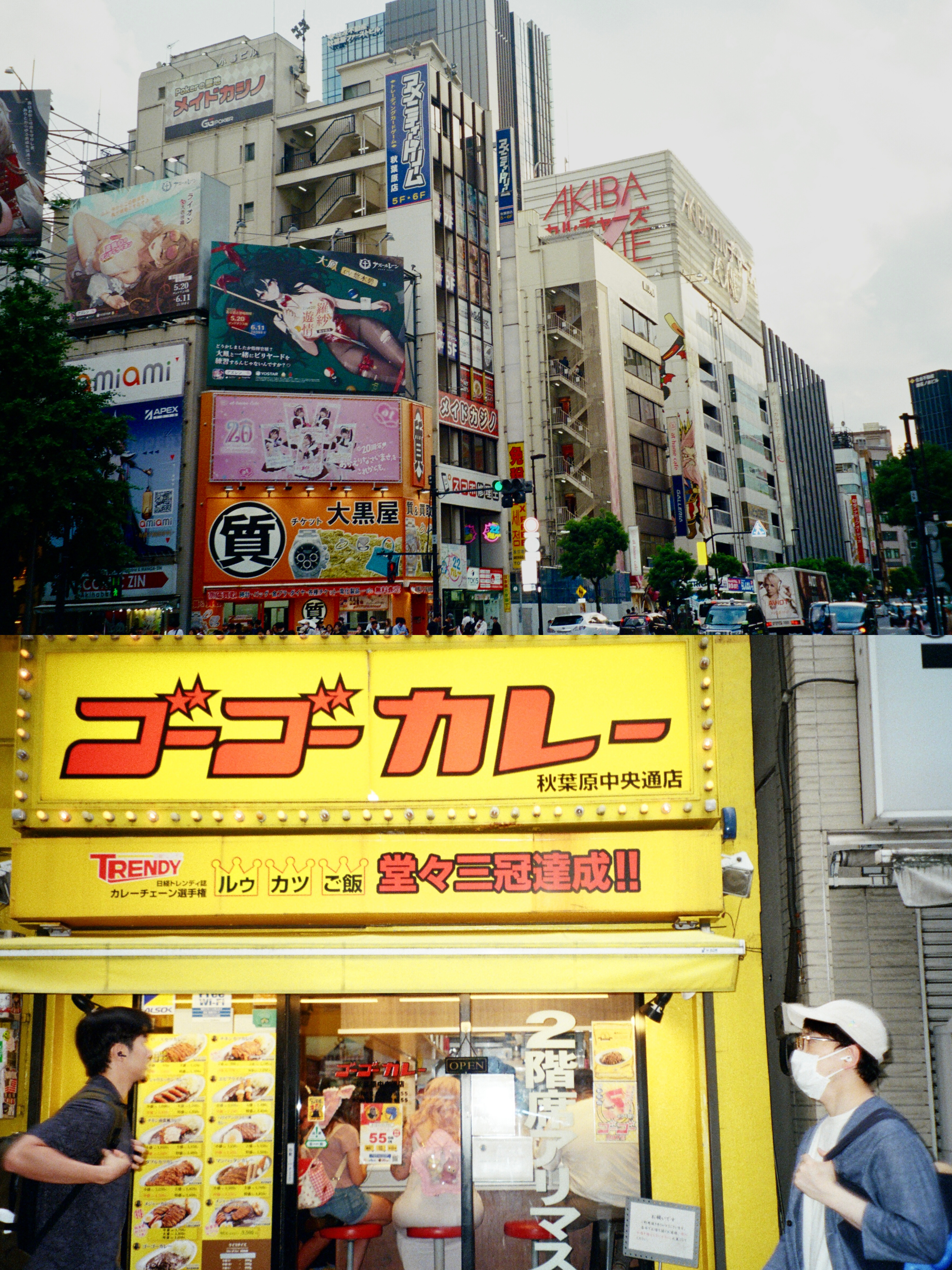 绿色心情^ ^ ​​​