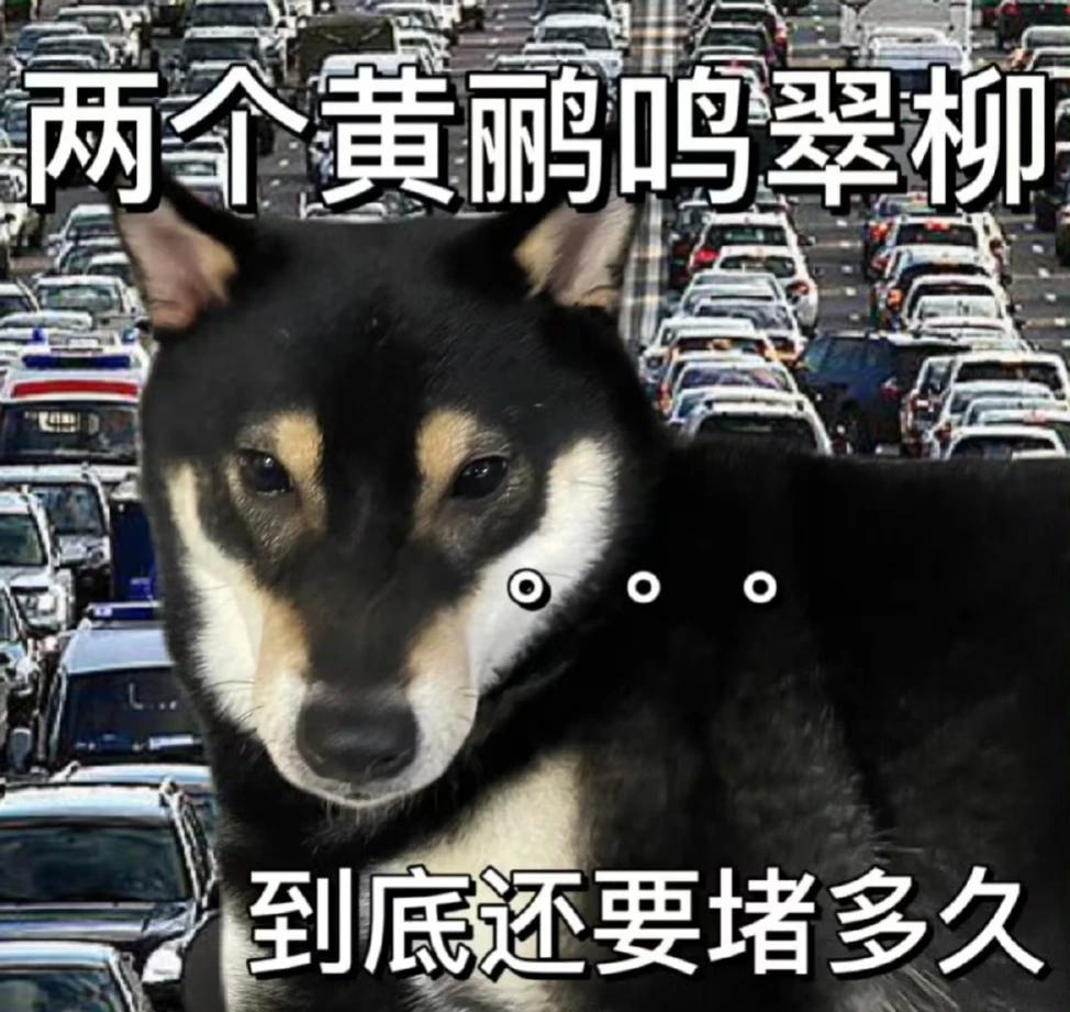 不理解为什么那么多人喜欢过节的时候一起待在路上[灵光一闪]
今年堵车的情况总结一