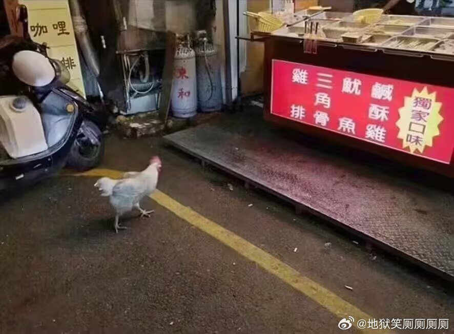 0942你好我来应聘鸡排 