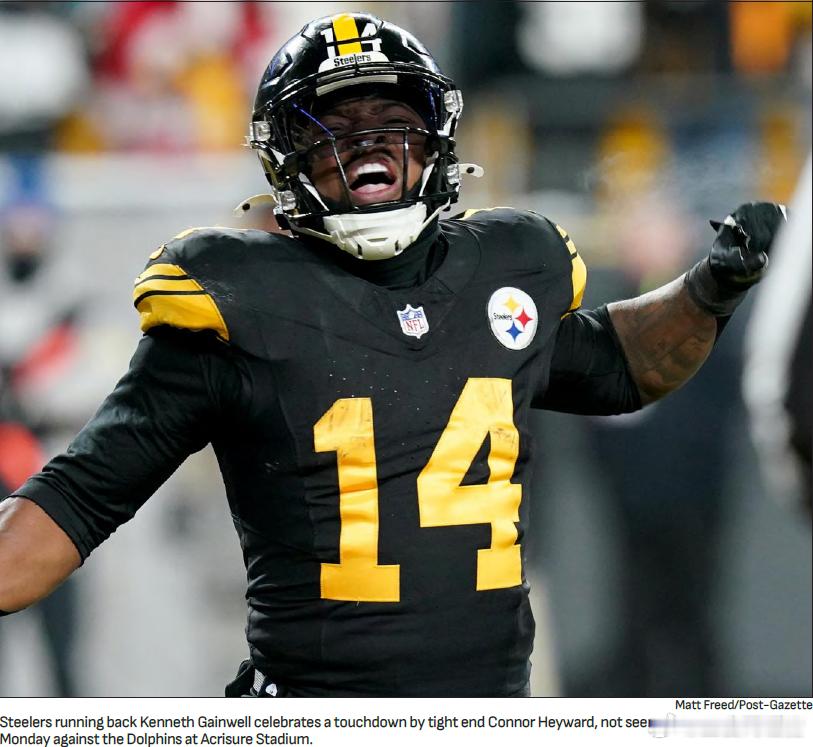 第15周海豚15：28钢人 