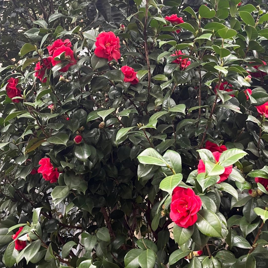 早起运动开心一天！