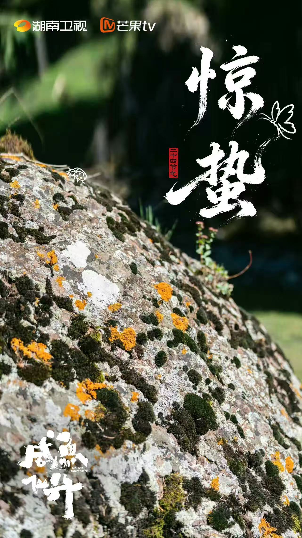 咸鱼飞升惊蛰海报 王鹤棣新剧《咸鱼飞升》惊蛰海报释出，期待早日和大家见面啦