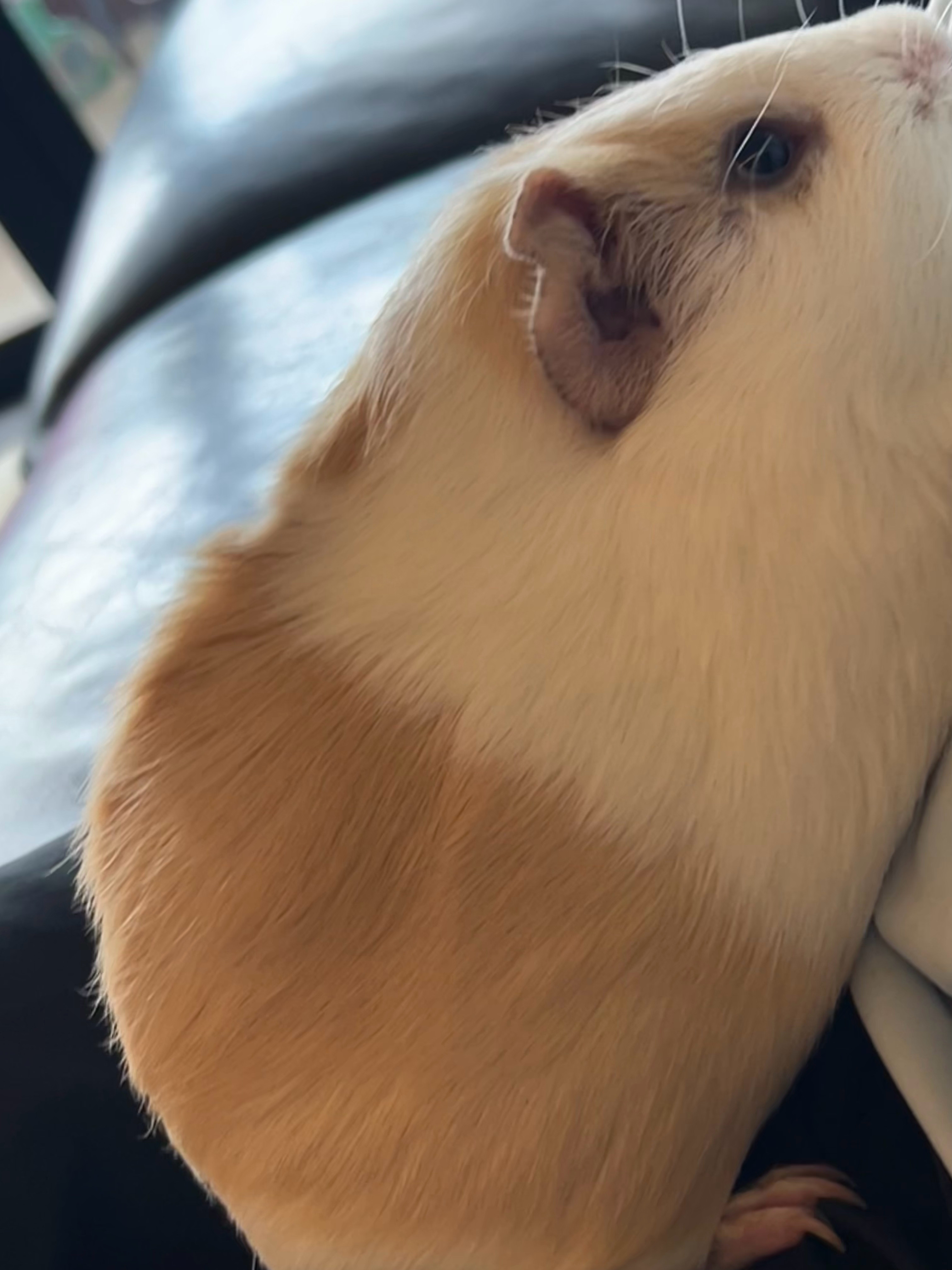 又瘦了 