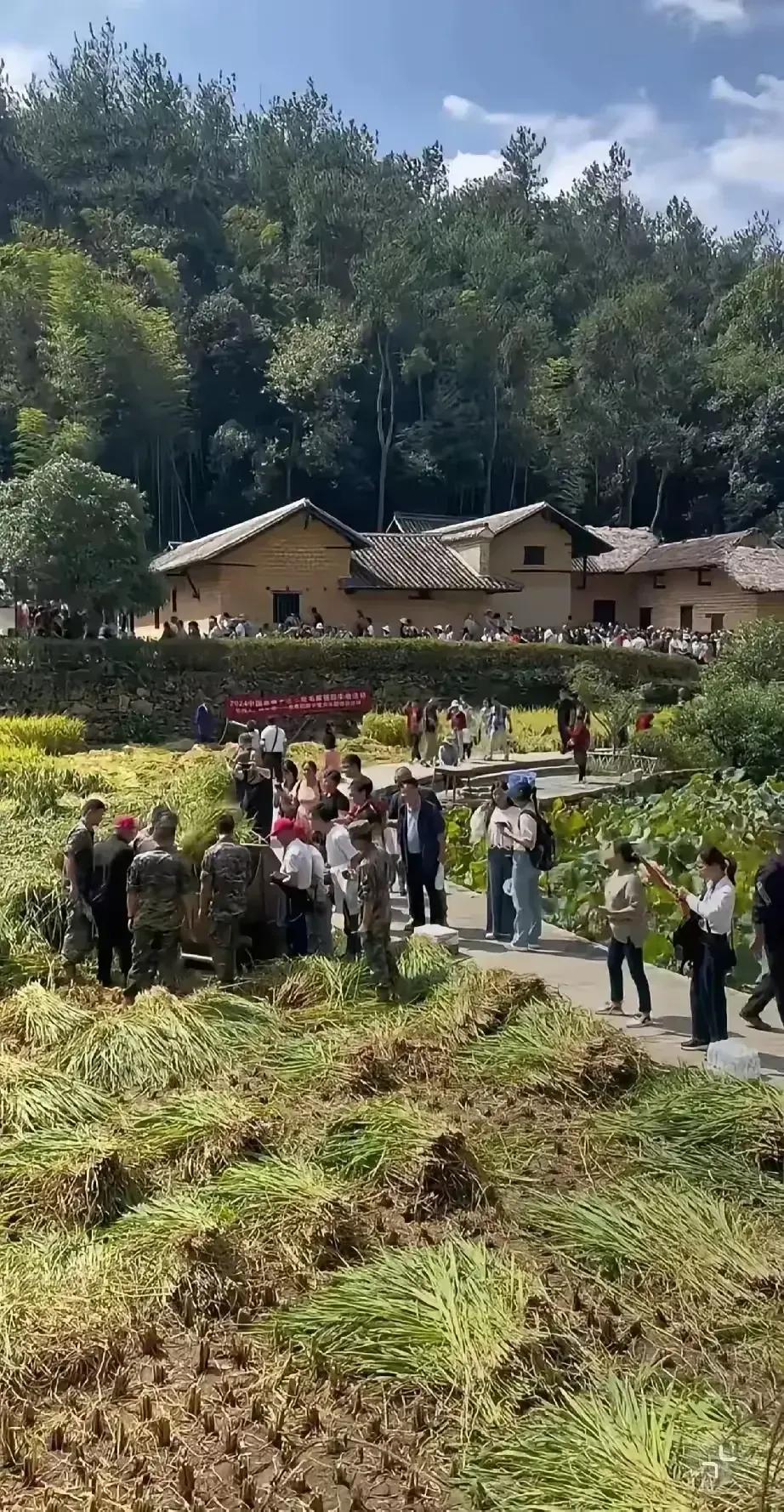 🍀请停留几秒，为伟人点个赞送朵花💐
《毛主席故居：不朽的记忆与传承》
在那片