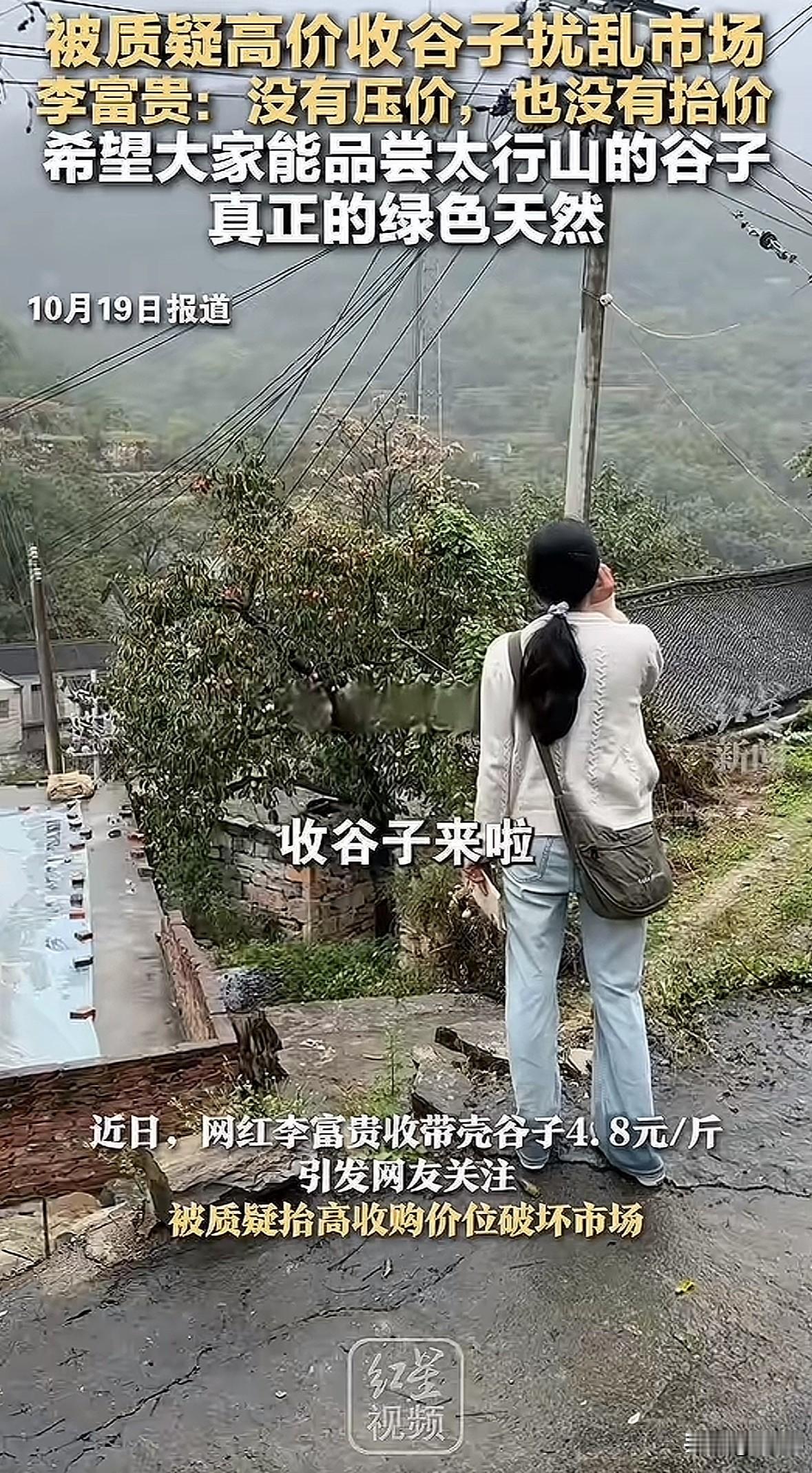 网红李富贵收带壳谷子，价格4.8元/斤，个别地区5元/斤，比市场均价2.5元/斤