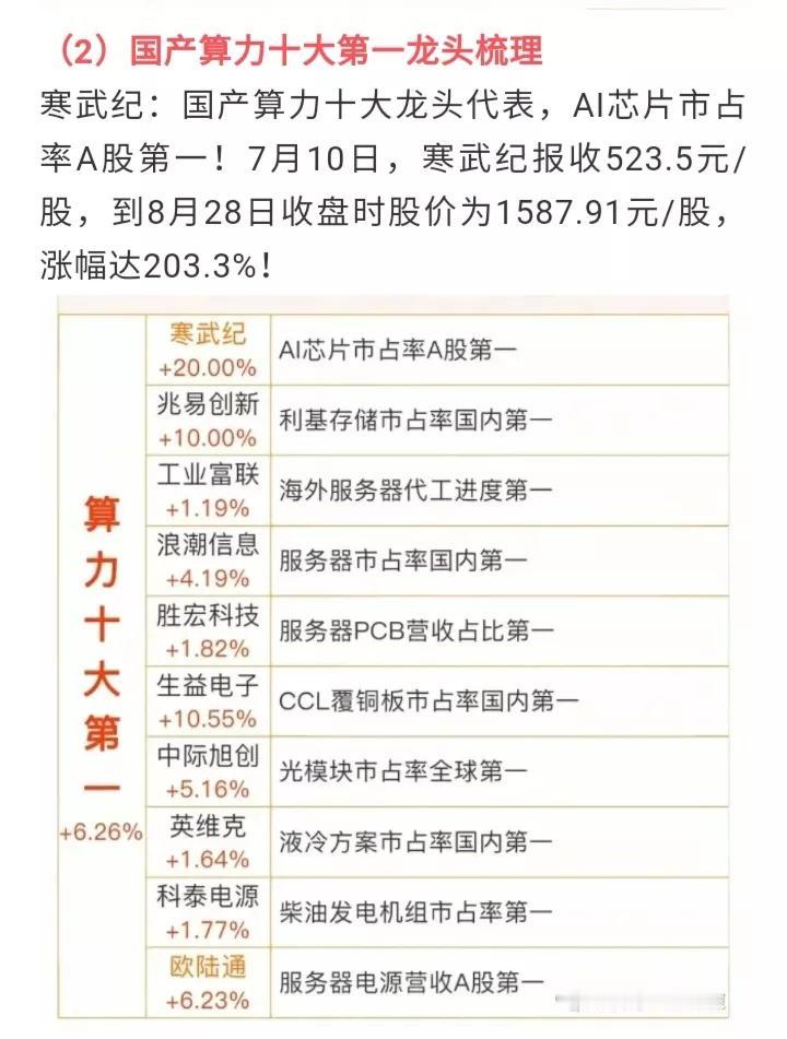 国产算力十大第一龙头，目前已经爆炒了6个，还有四家相对低位有没有机会？