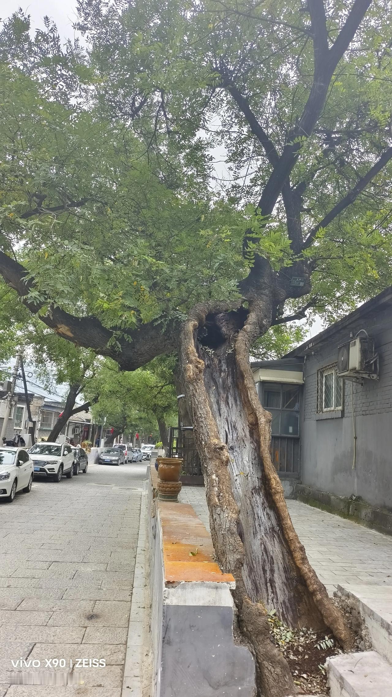 这次假期，因为身体原因，做好的旅行攻略不得不放弃，不得已宅在家中。这次生病也不是