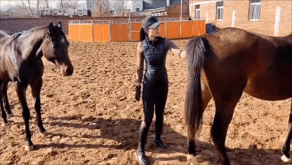 士可忍
马🐴不可以忍？😡