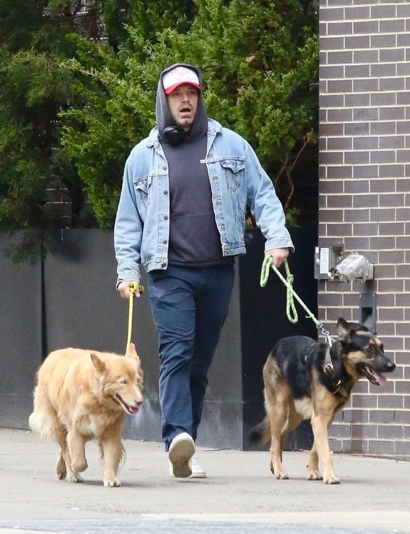 虽然有媒体报道称 Sebastian Stan 和女友 Annabelle Wa