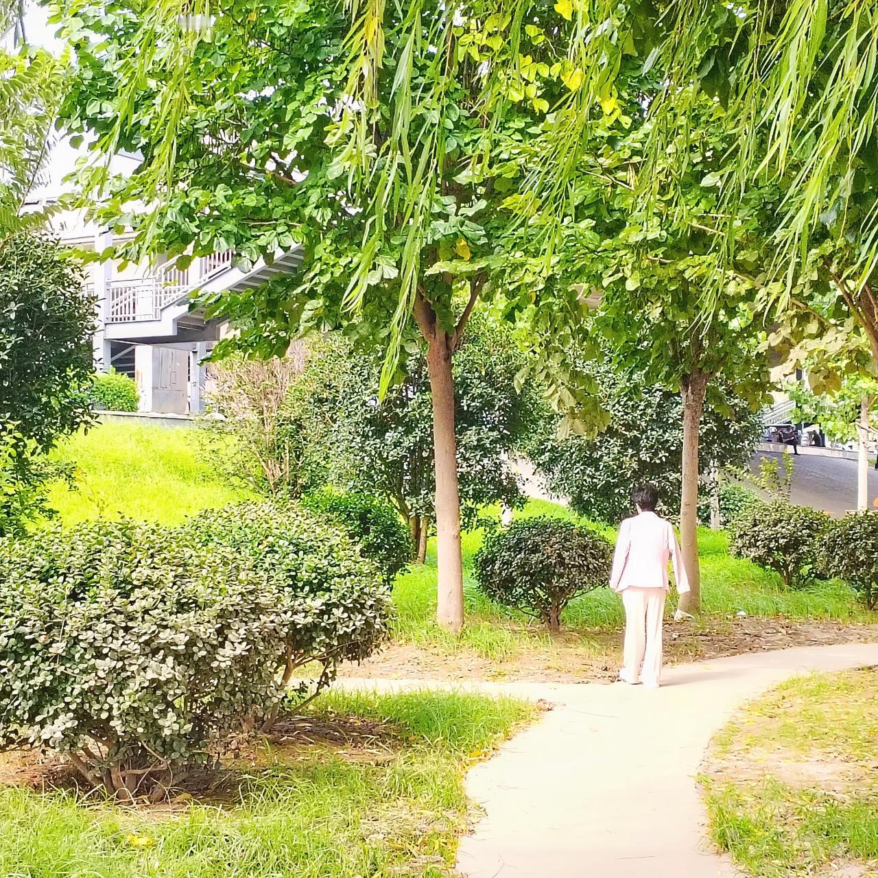 昨天早晨去公园散步，看到立秋后的公园美景，拿起手机随手拍了张照片，记录日常生活中