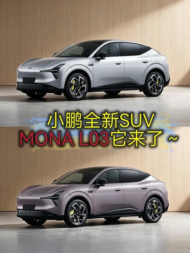 小鹏Mona l03车型部分外观和参数曝光，网友们说这是这到底是Mona Y还是