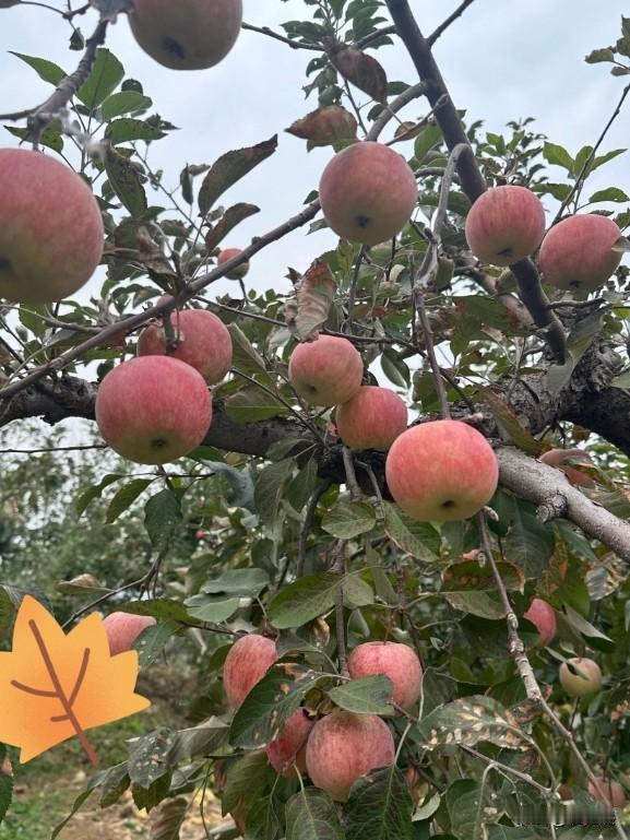 教训！千万不要和小区的人走的太近。

我发现人要活得自在，就要享受孤独，凡是一些
