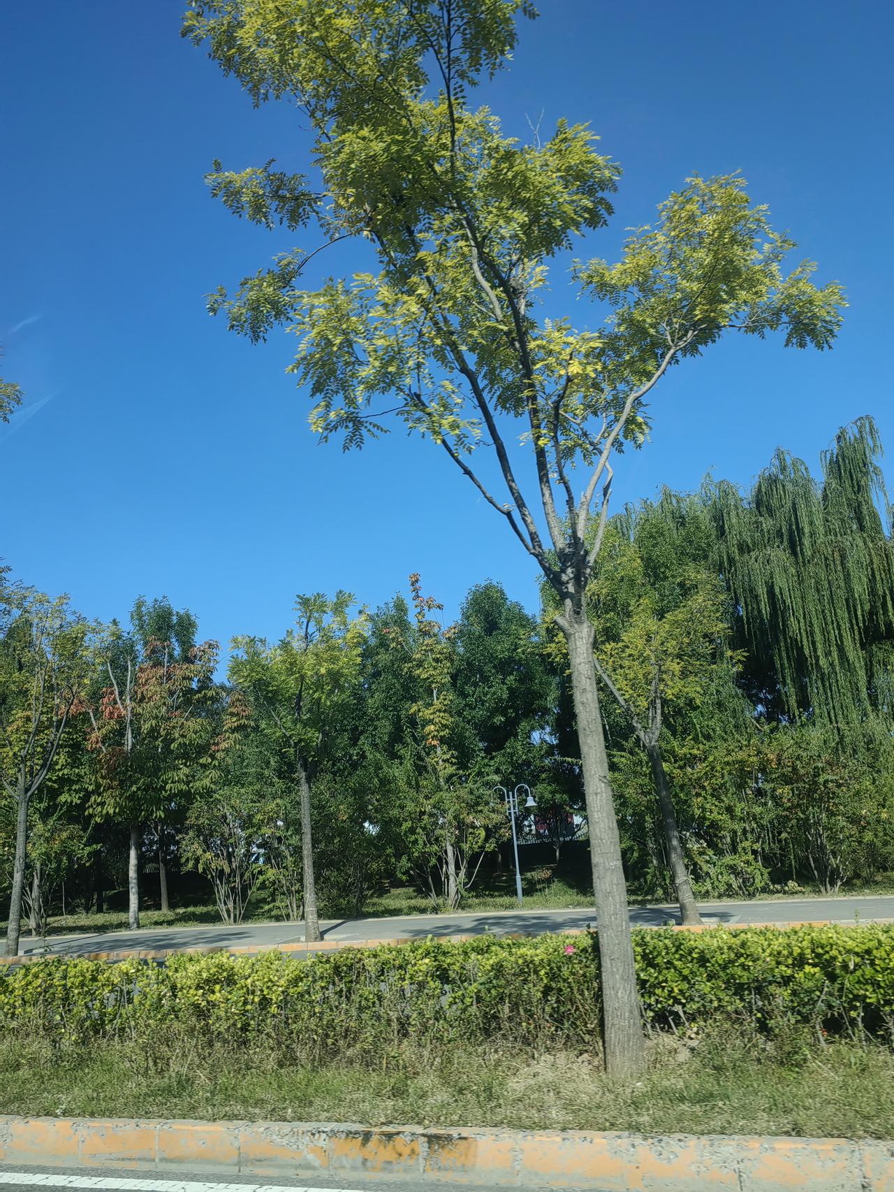 老公昨天去新单位报到，待了一个来小时，跟分管领导和科室领导聊了聊情况。

大概率