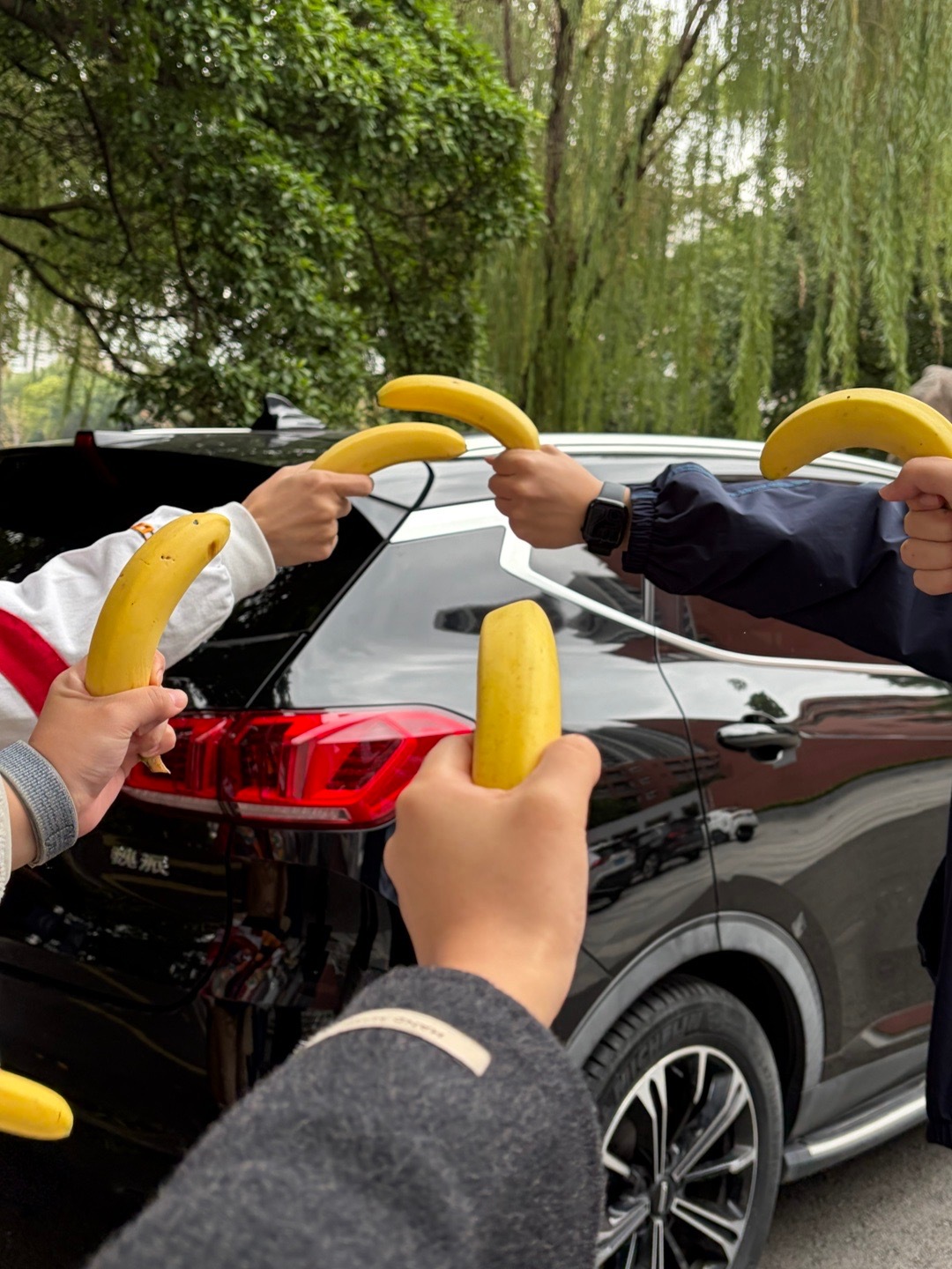 最近好像是有点活过来了 