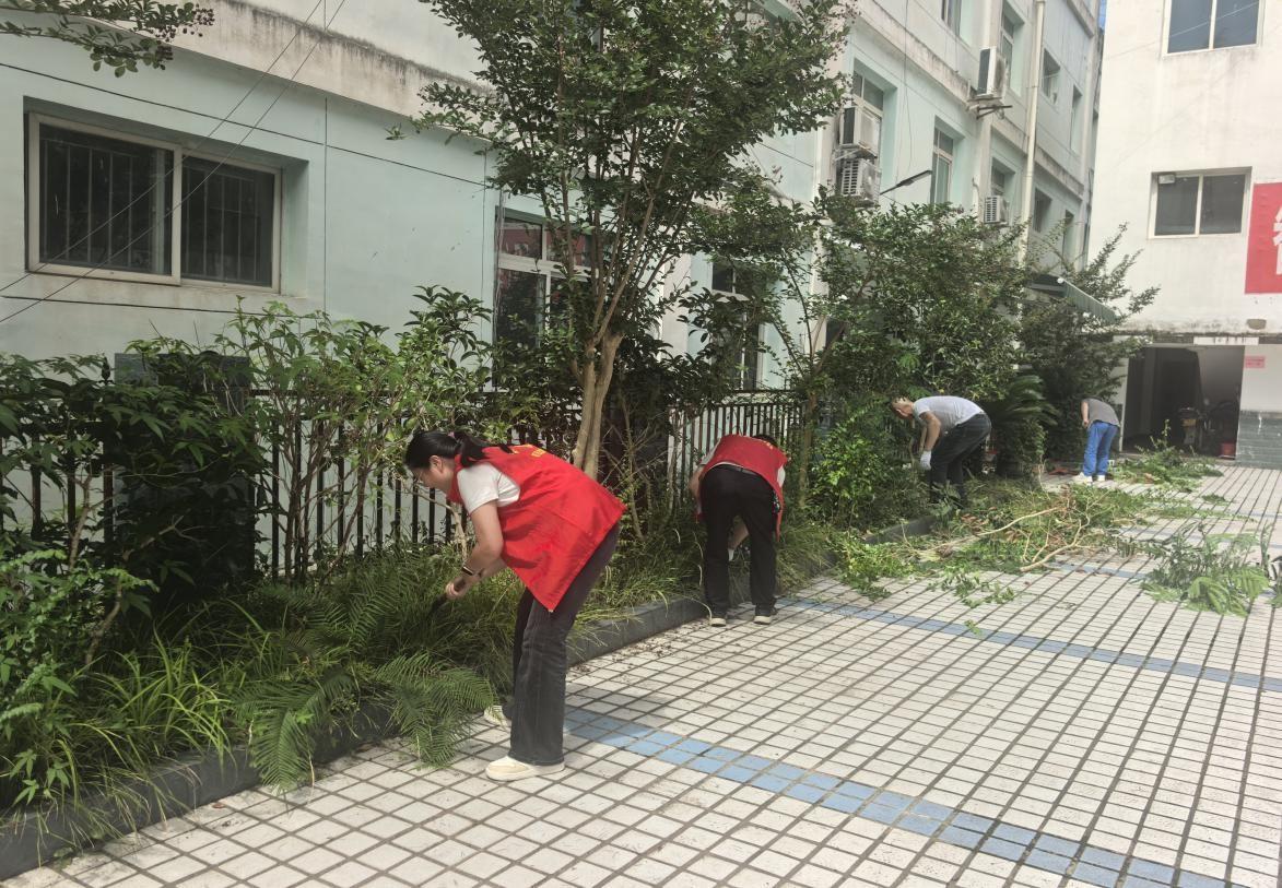 旺苍县张华镇政府组织开展“红城清洁”集中整治活动
         
     