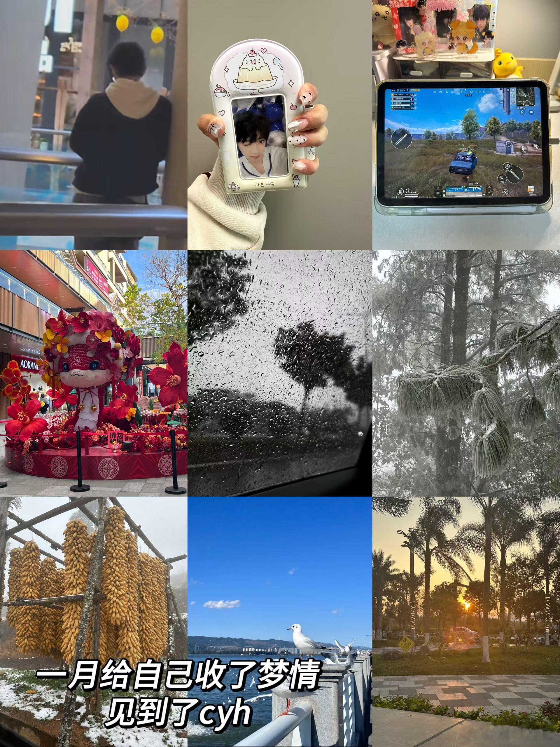 感觉2025过的很快可能因为每一个月都有要忙的事情今年约到了好多人也失去了好多人