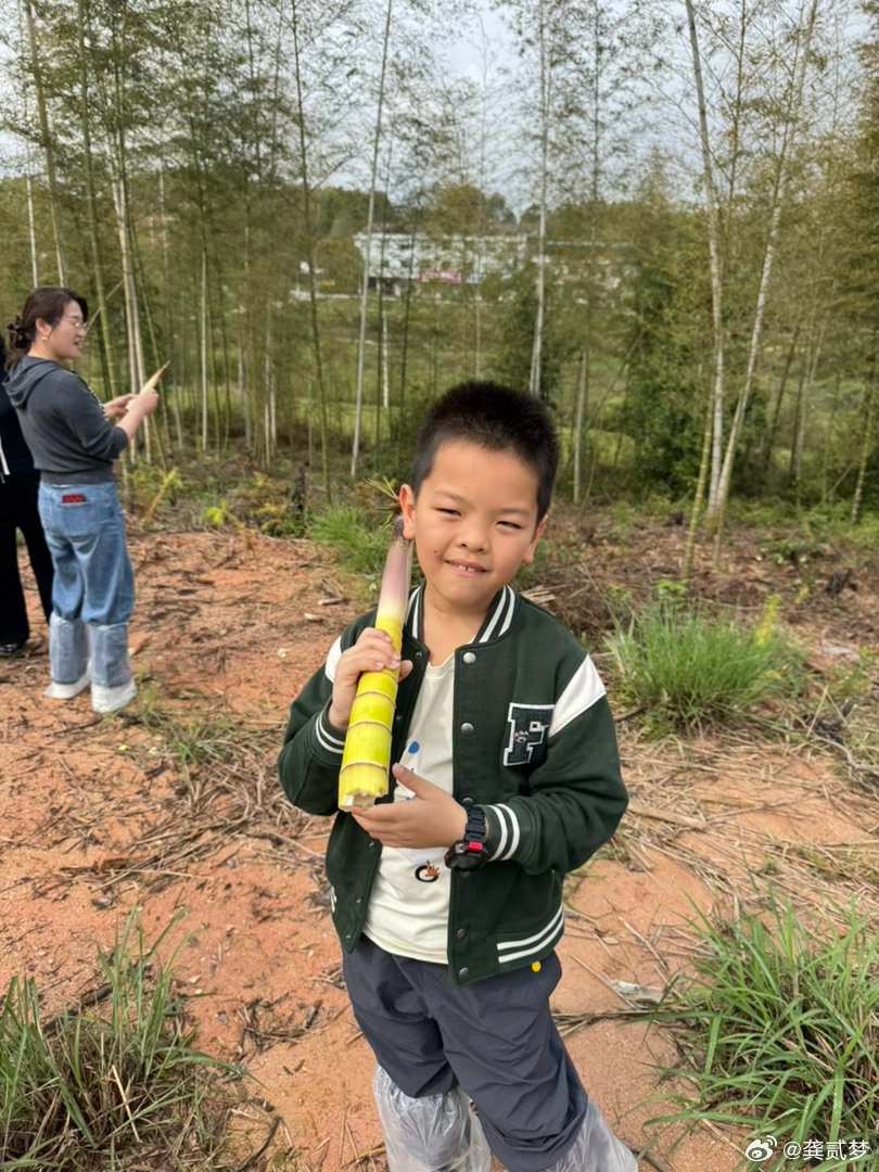 广东是挖五指毛桃，我们这边是拔笋这次还特地带了只乳猪回来也尝一尝外省的东西清明