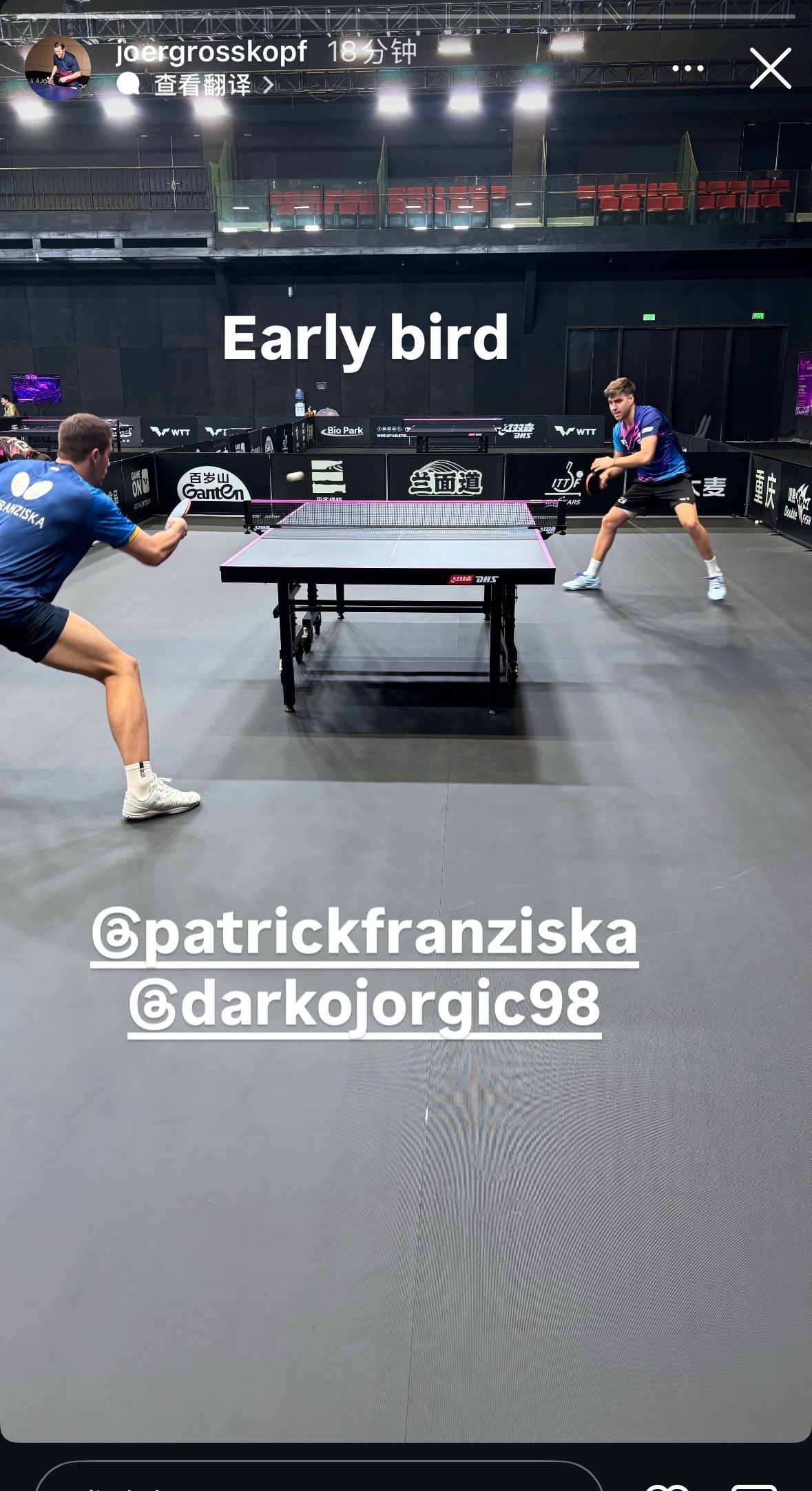 老罗：早起的鸟我：淘汰的人 