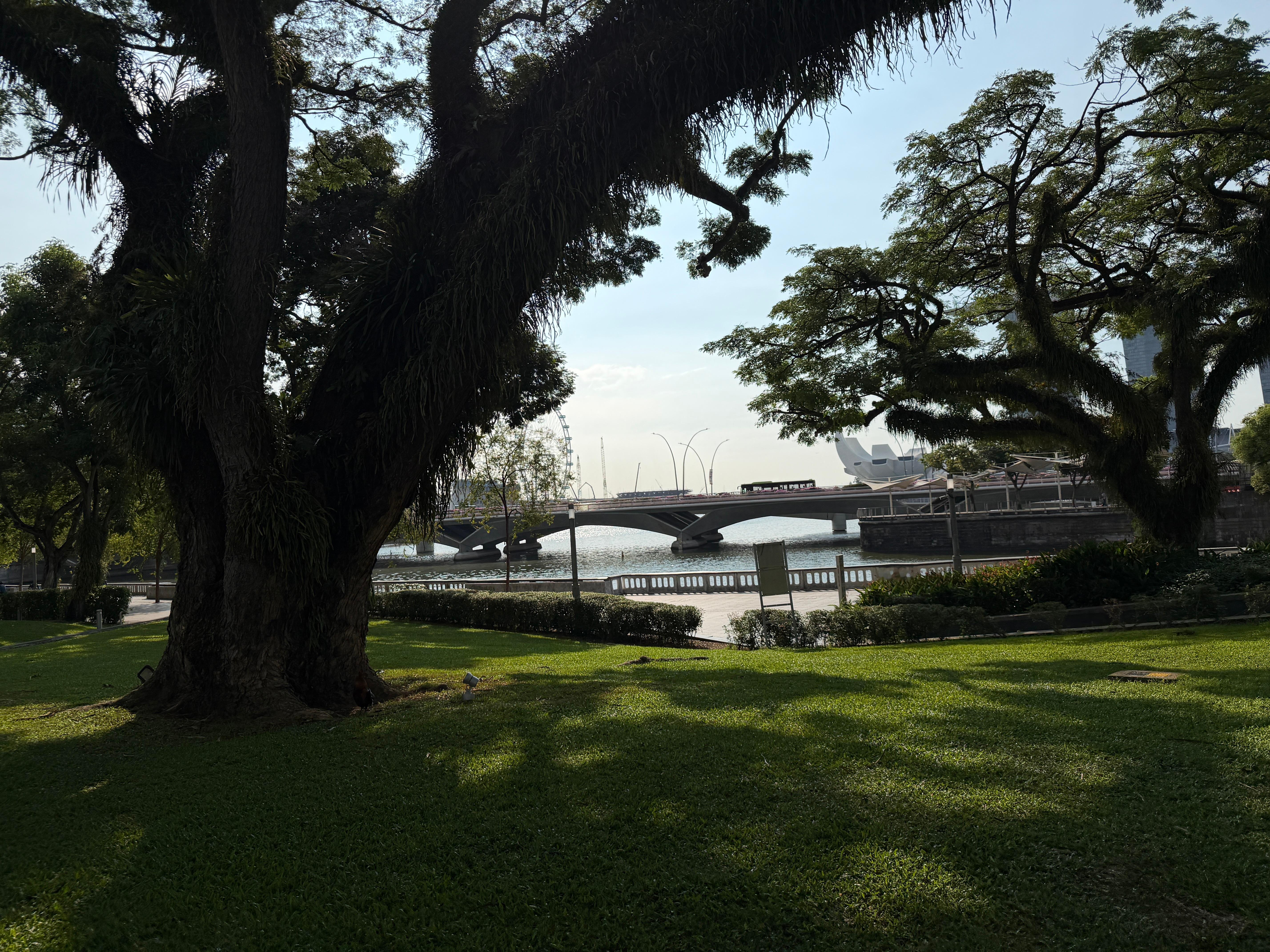 今天我对儿子说，如果财富和健康没法都拿到，怎么选，儿子说选健康，因为财富可能不一