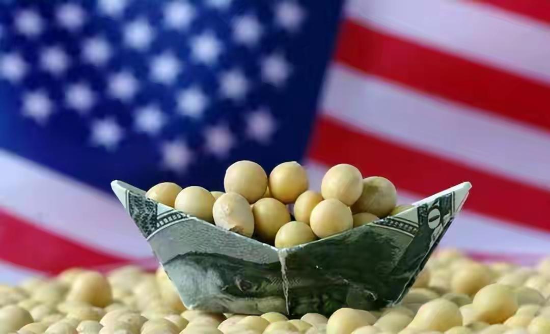 美国大豆榨油厂产量高，核心不是技术牛，而是高油大豆原料+全程品控+规模化生产，从