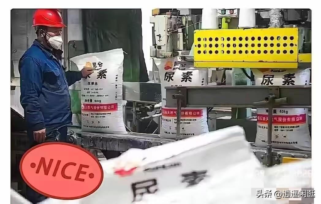 我敢说，霍尔木兹海峡这事再拖下去，最先起飞的不是越南这些国家，而是咱们西北的宁夏