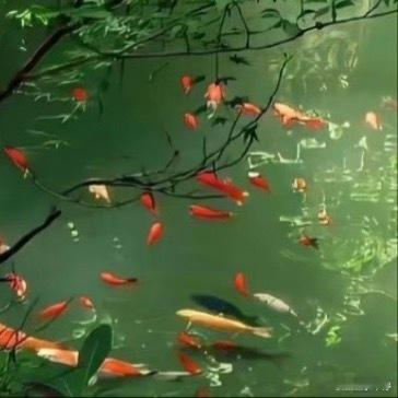 每日一善 很多善意，都发生在不被注意的瞬间。不嘲笑别人的窘迫，遇事多换位思考，懂