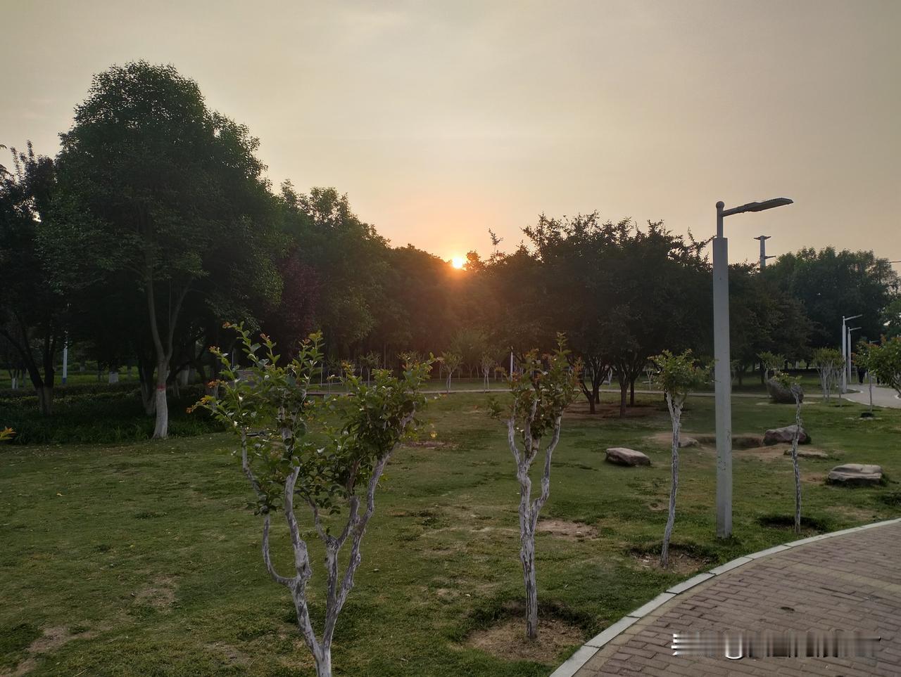 早上好，跑步🏃🏻‍♂️