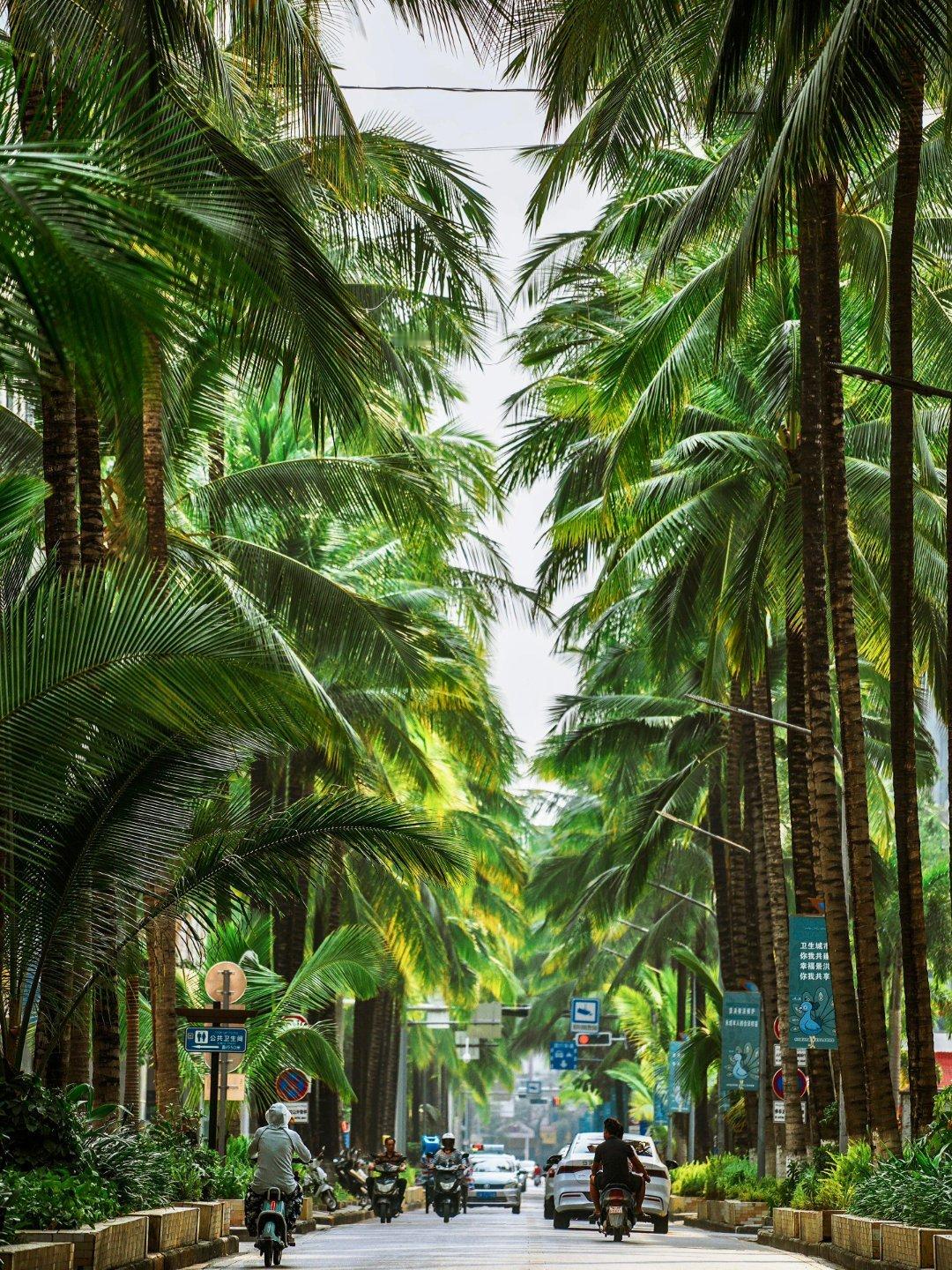 五一年轻人都要去哪儿五一要来了，大家准备去哪里玩啊？反向旅游的冷门小城看看有没有