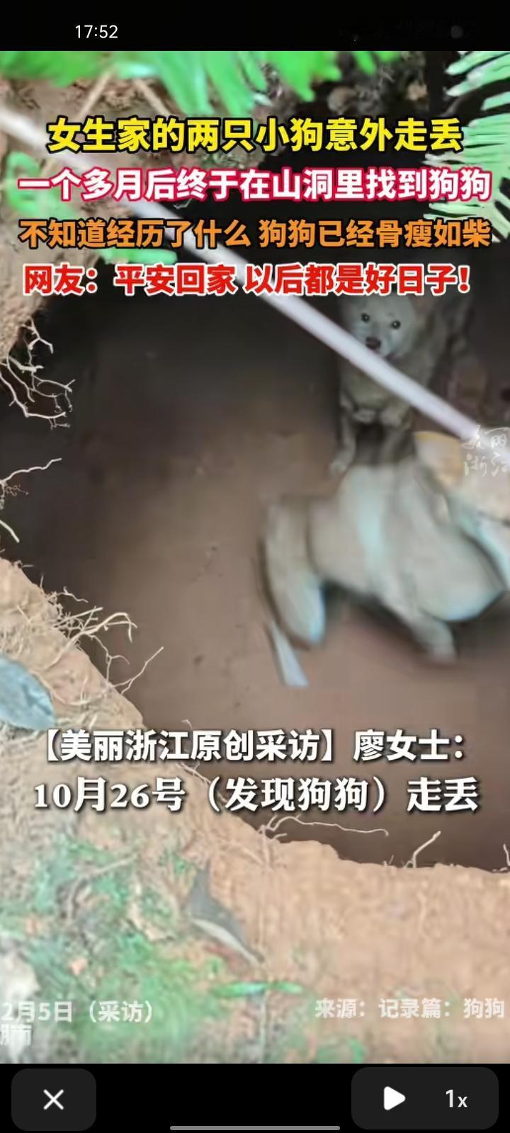 12月2日，岳阳市平江县。女生家的两只小狗意外走丢，周边人只知道狗在山上叫，一个