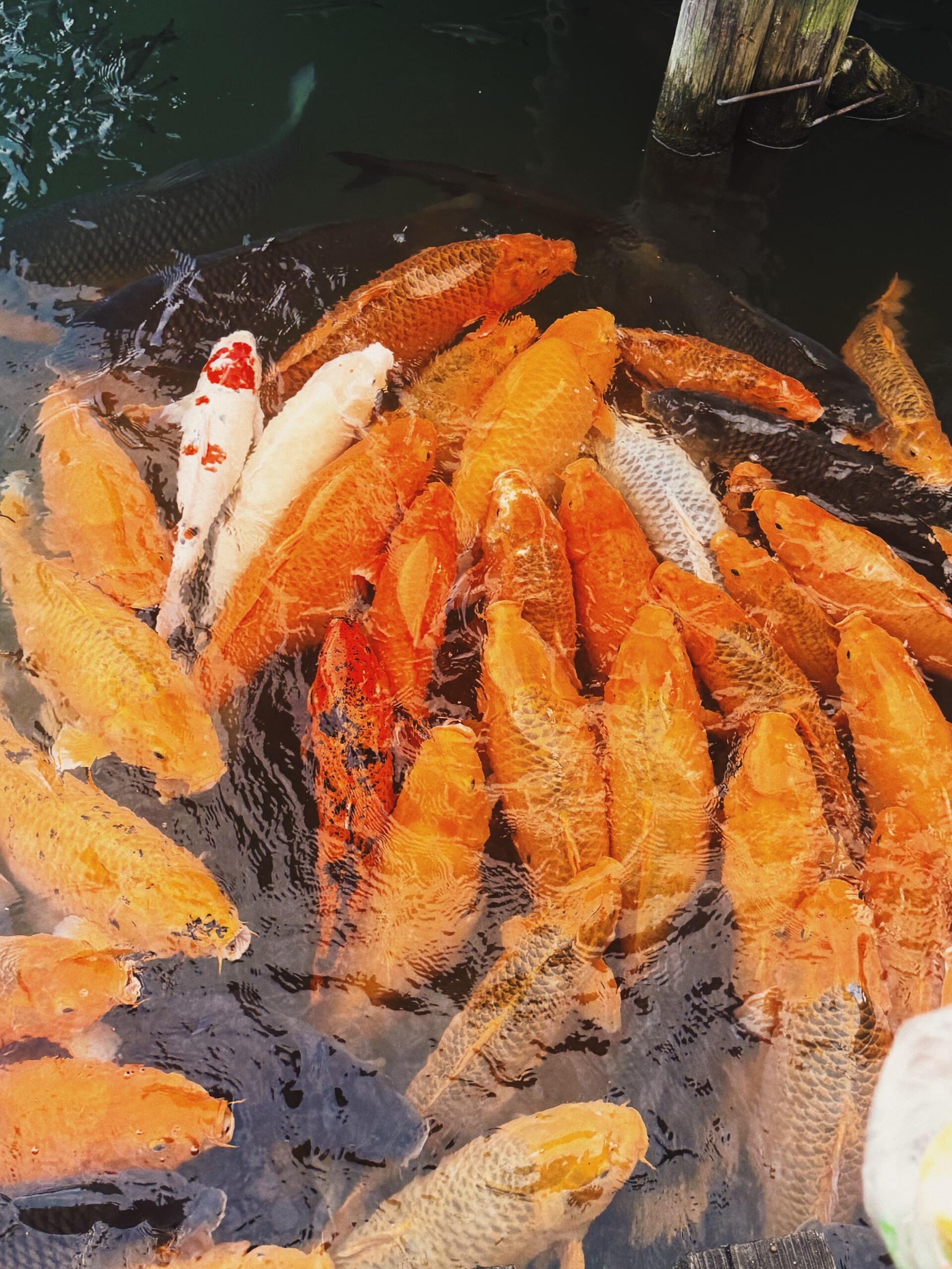 肖宇梁氛围感 ·向全世界安利肖宇梁 新的一周开始啦。生活总有各种琐碎疲惫，看看你