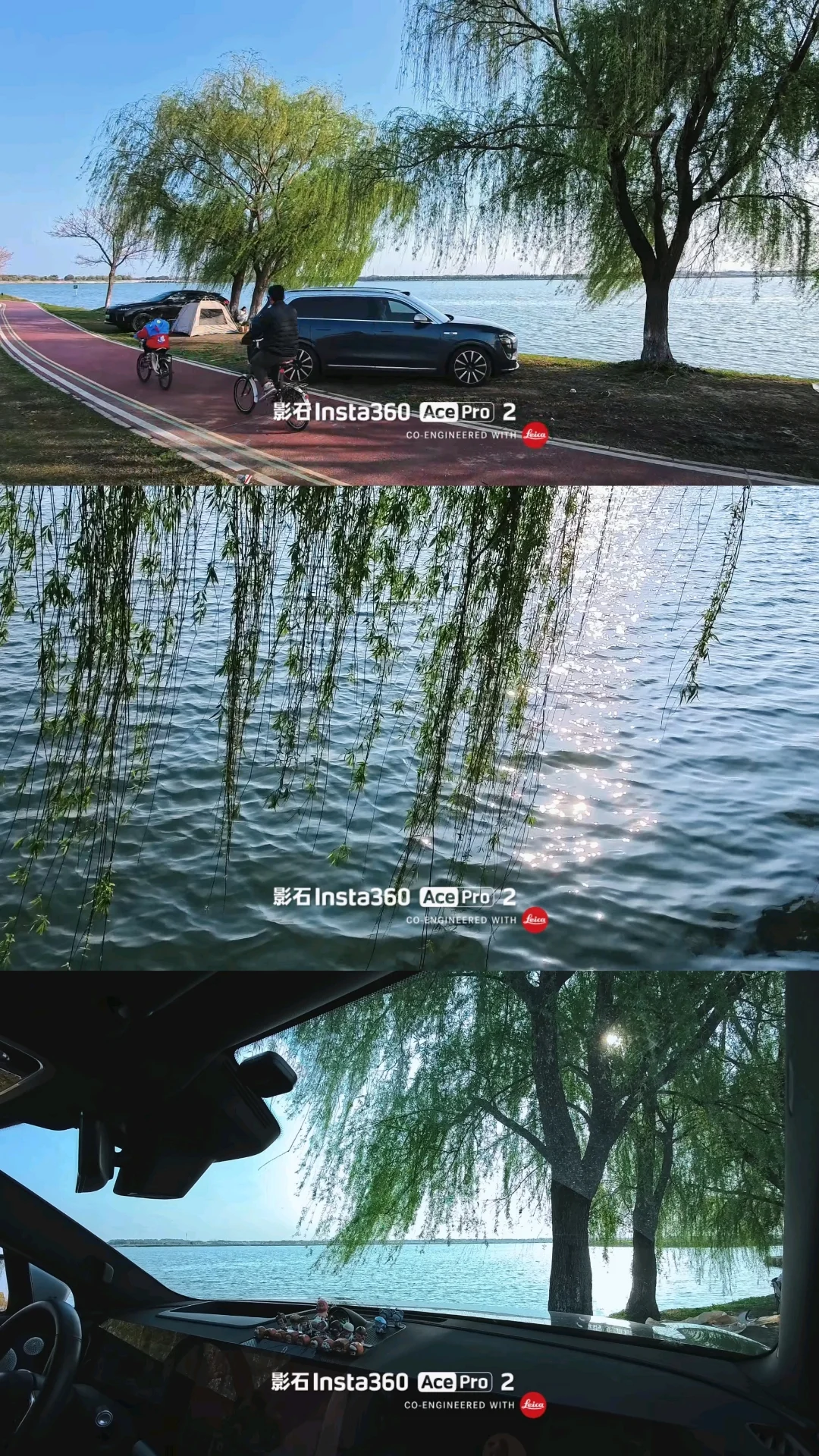 上海1h直达！湖景+油菜花双景免费露营地✨