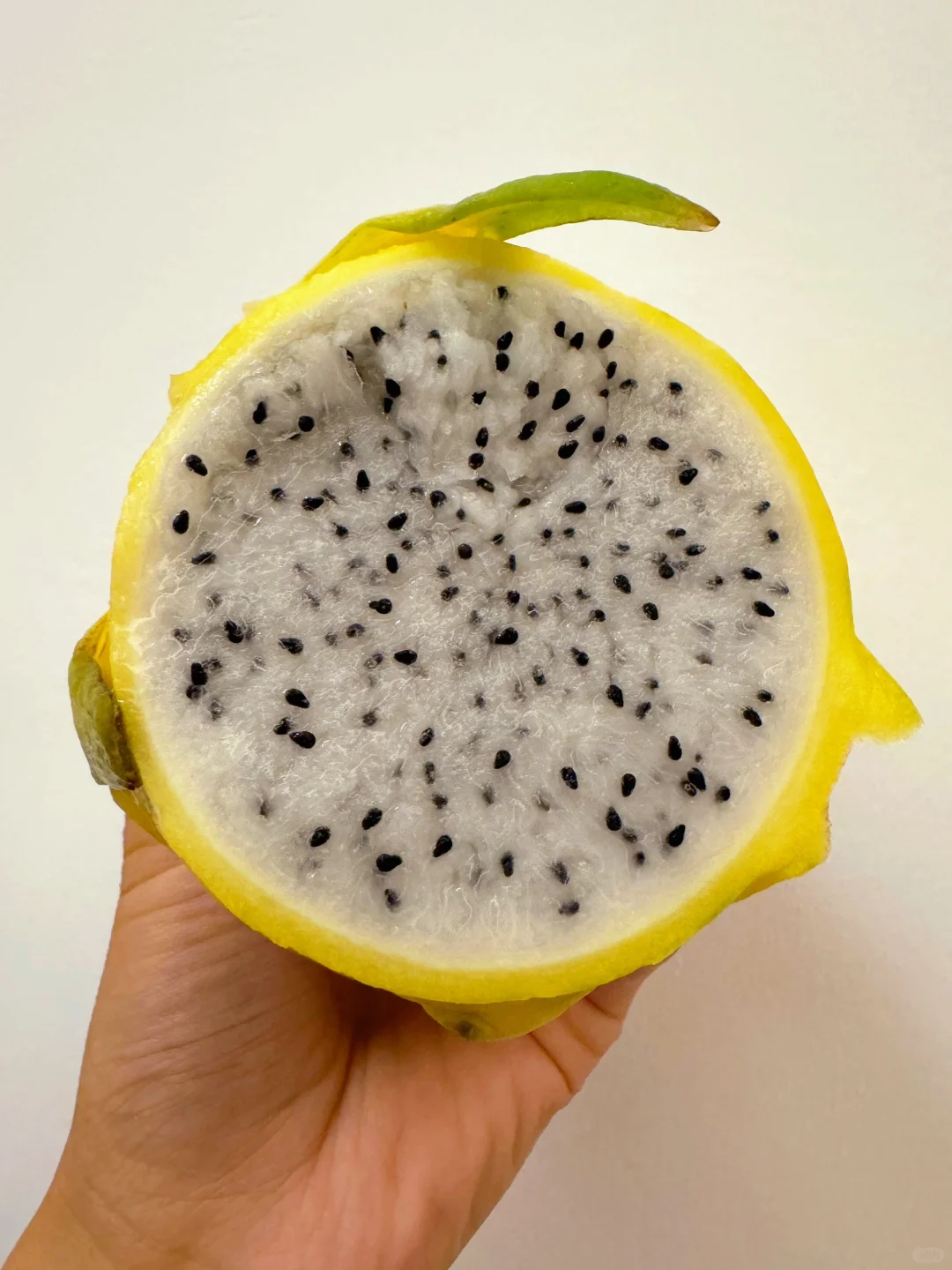 上大当了，黄色火龙果