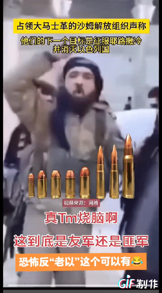 叙利亚这支垃圾股换庄家了？就当阿萨德直接放弃总统搞的大家一头雾水时，新来的狠人宣