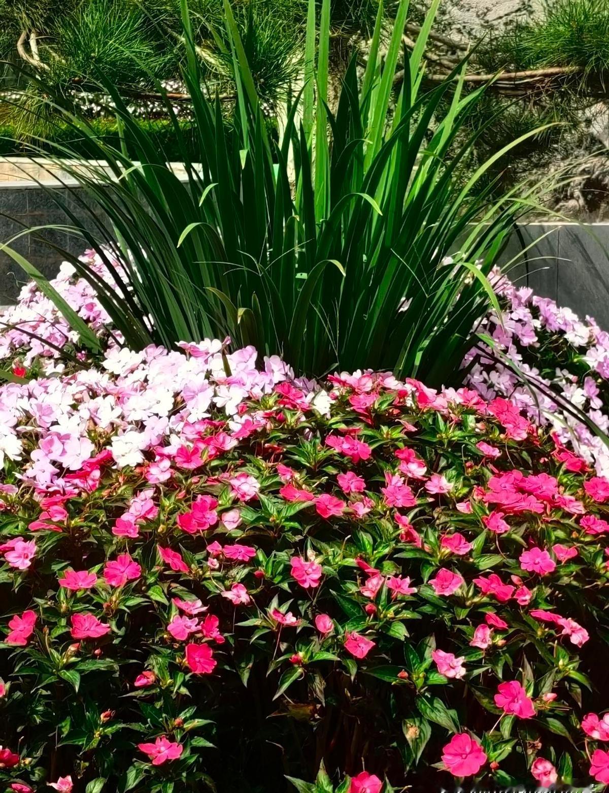 人走了，屋子空了，没人哭，也没人说话。
你忙你的，我忙我的，好像死的不是亲人，是