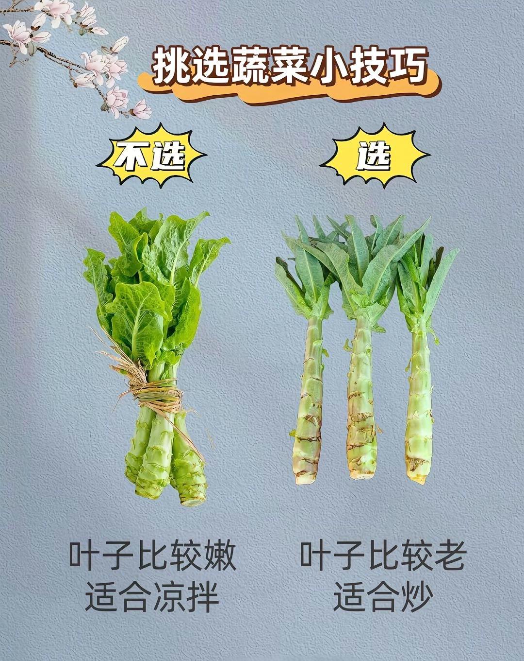 买菜小妙招来了买菜避坑小技巧 蔬菜选购小妙招 家庭买菜技巧 家常买菜小技巧 蔬菜