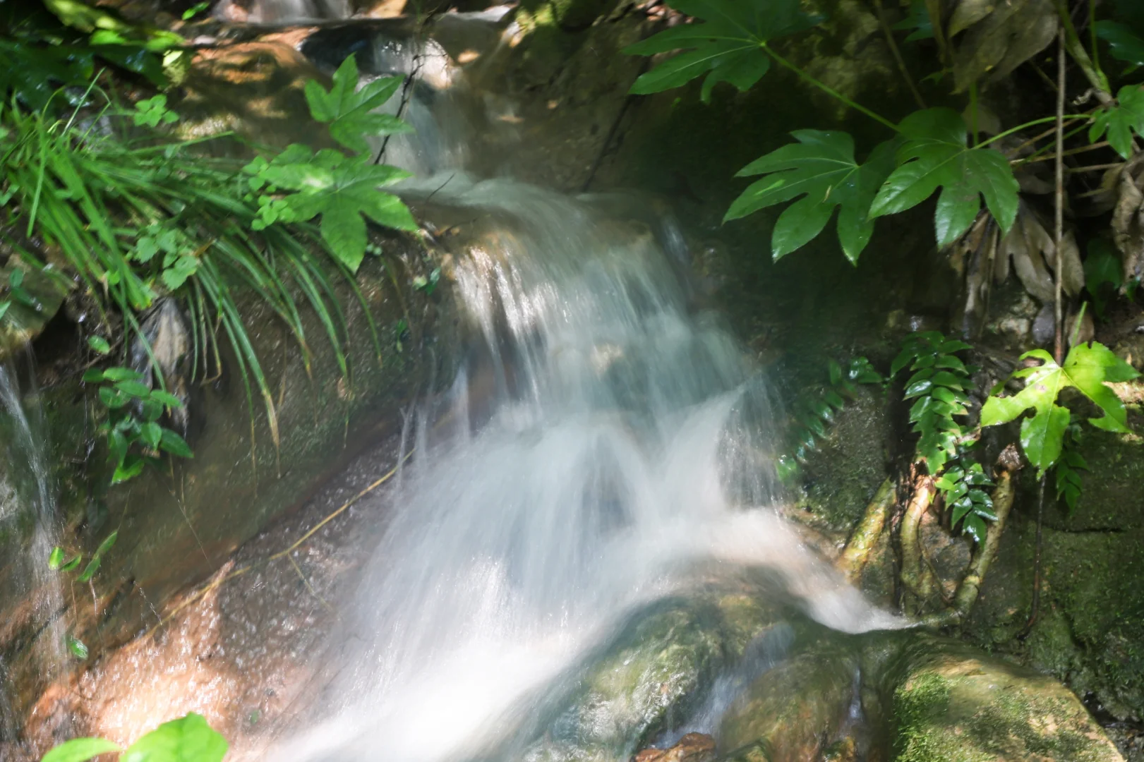 镇江茅山：摆脱生活的桎梏，吹一吹自由的风