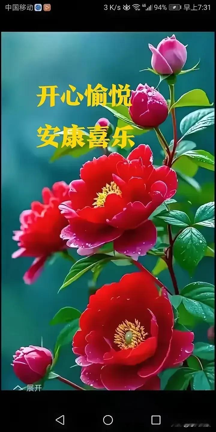《卜算子·悟情》
 
富贵皆尘嚣，
康健人间贵。
点点相思时时念，
暖意长相随。