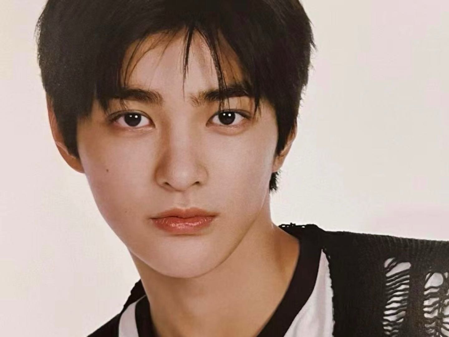 这张脸拿什么输 